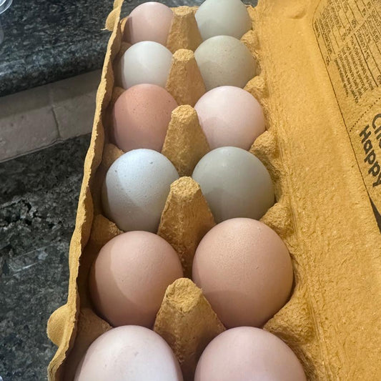 Pasture, free range eggs, organic