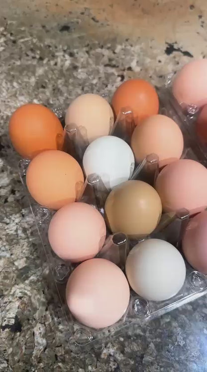 Pasture, free range eggs, organic